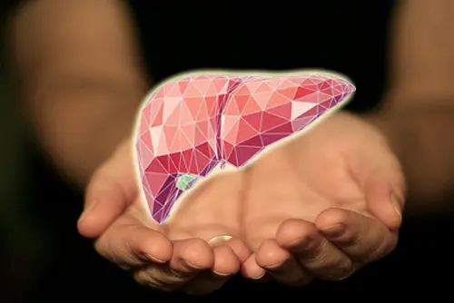 Liver Protection Pills during steroid cycle.