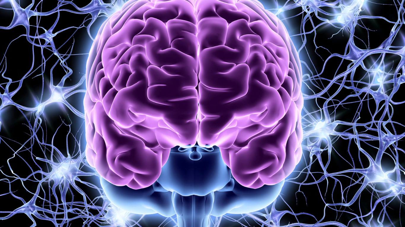 Anabolic steroids and their effect on the central nervous system