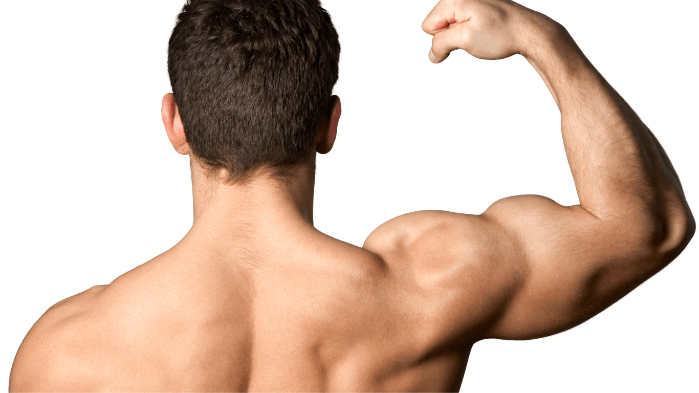 Which steroid has the highest potency?