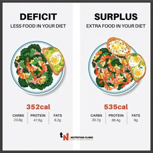 Image comparing two meal options: a calorie deficit meal on the left with 352 calories, featuring a salad with shrimp and a slice of toast, and a calorie surplus meal on the right with 535 calories, including a shrimp salad and two eggs on toast.