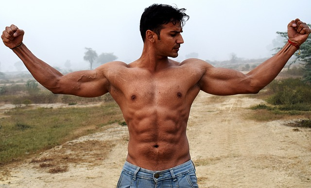 biceps, triceps, fit