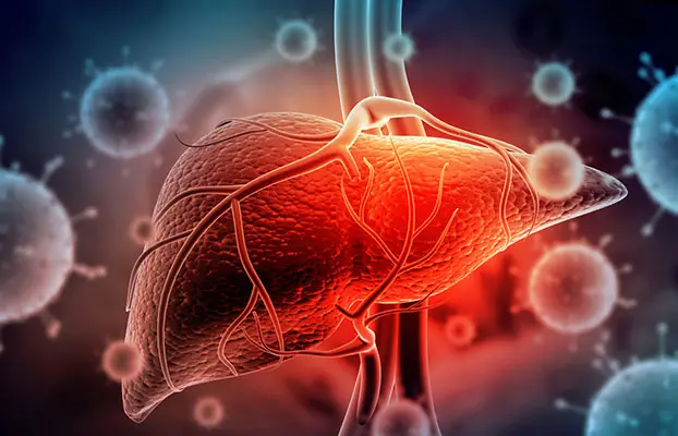 NAC Supplement in Bodybuilding: Liver protection