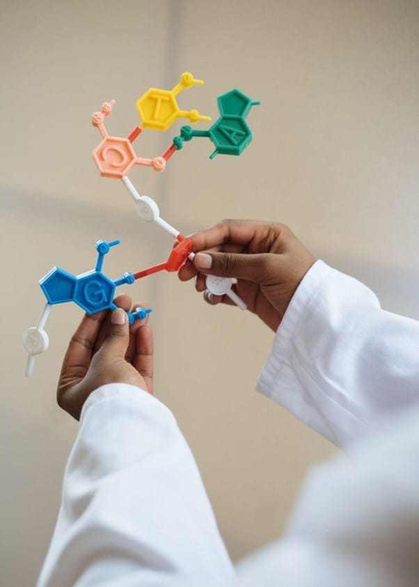 . Potential Medical Applications of Anabolic Steroids