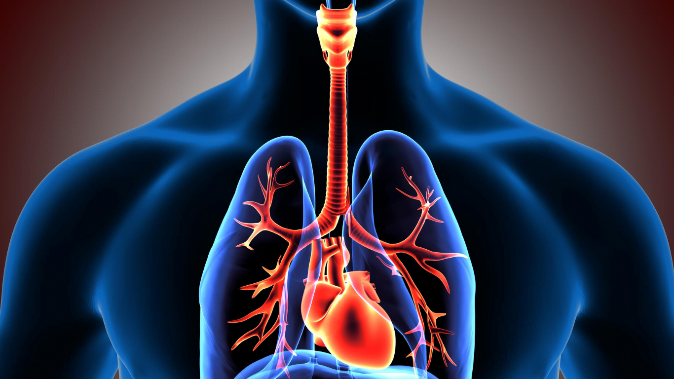 The impact of anabolic steroids on the respiratory system