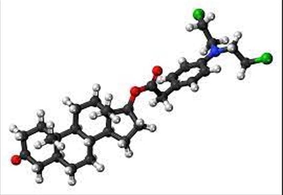 What is the main androgenic anabolic steroid?