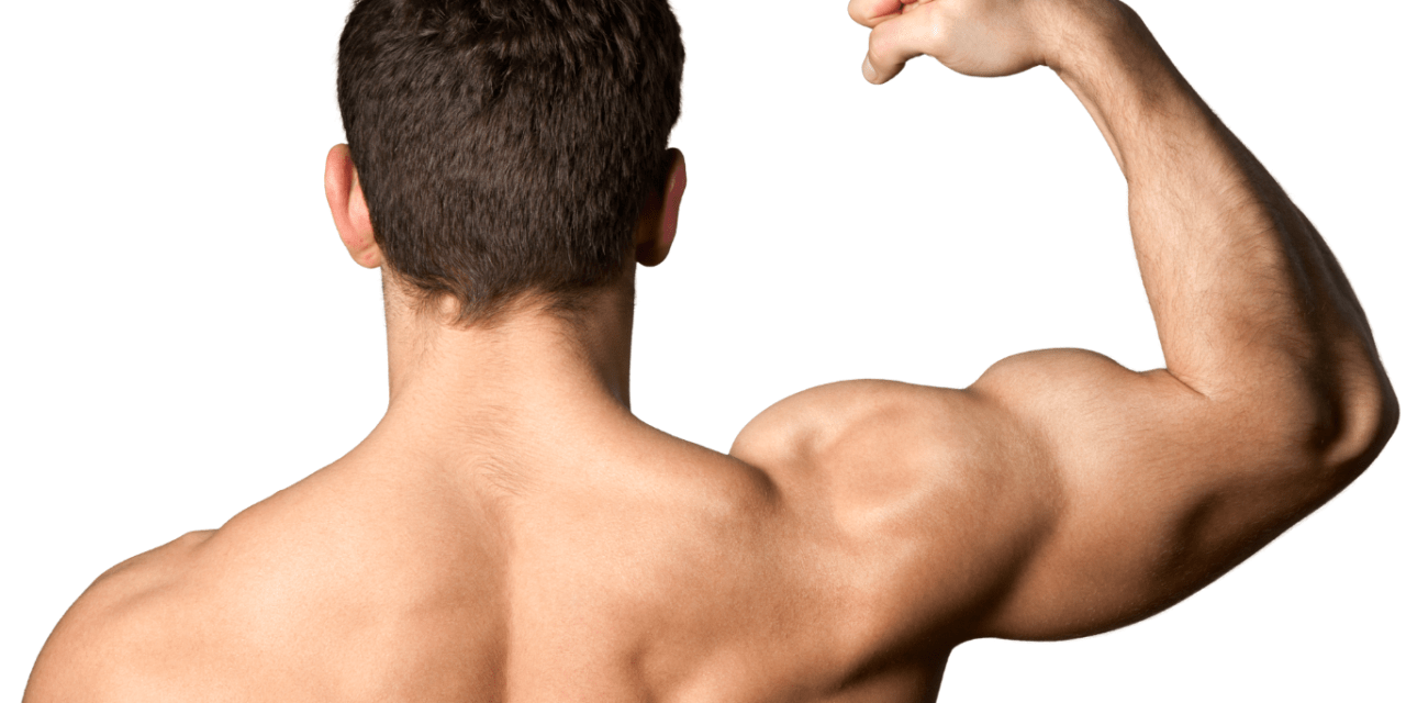 Which steroid has the highest potency?