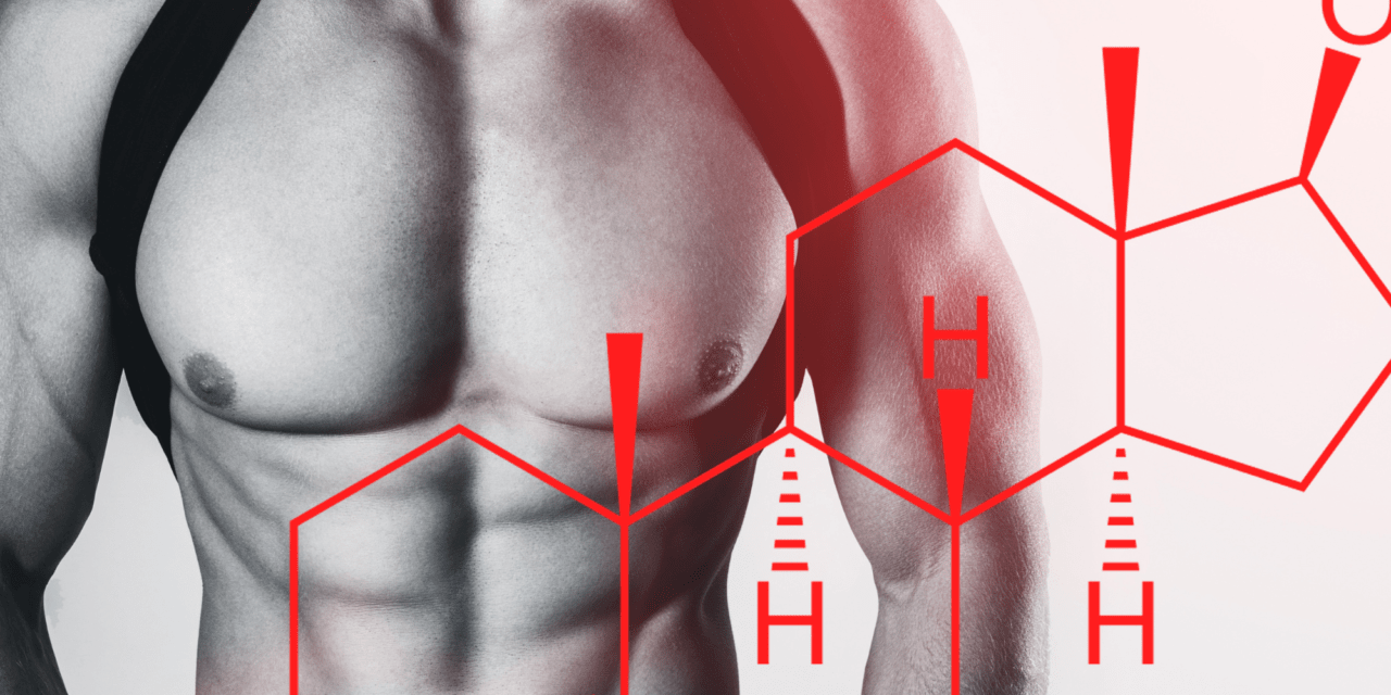 Anabolic steroids and their impact on body composition