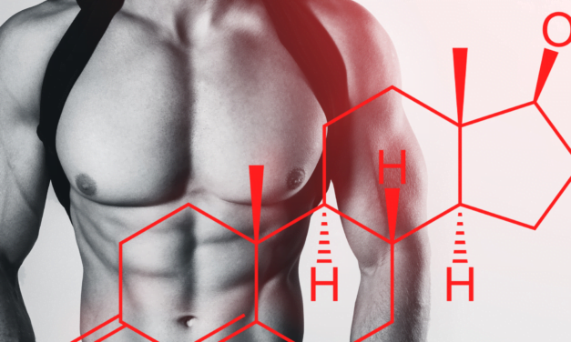 Anabolic steroids and their impact on body composition