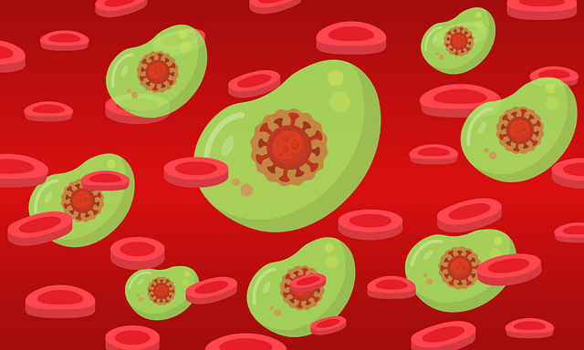 Elevated Red Blood Cell Production