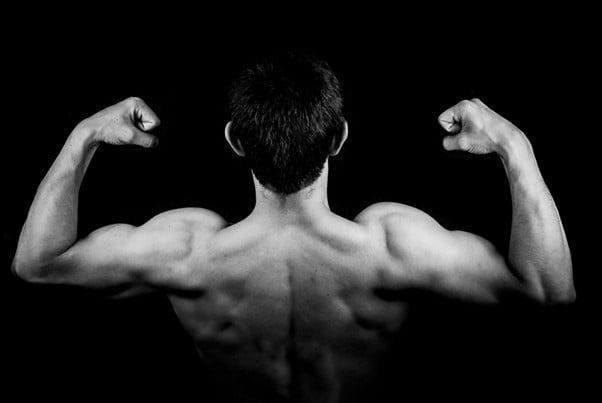 Novel Approaches to Anabolic Steroid Development