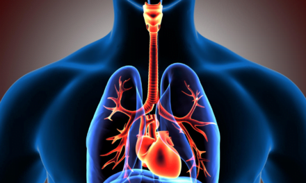 The impact of anabolic steroids on the respiratory system