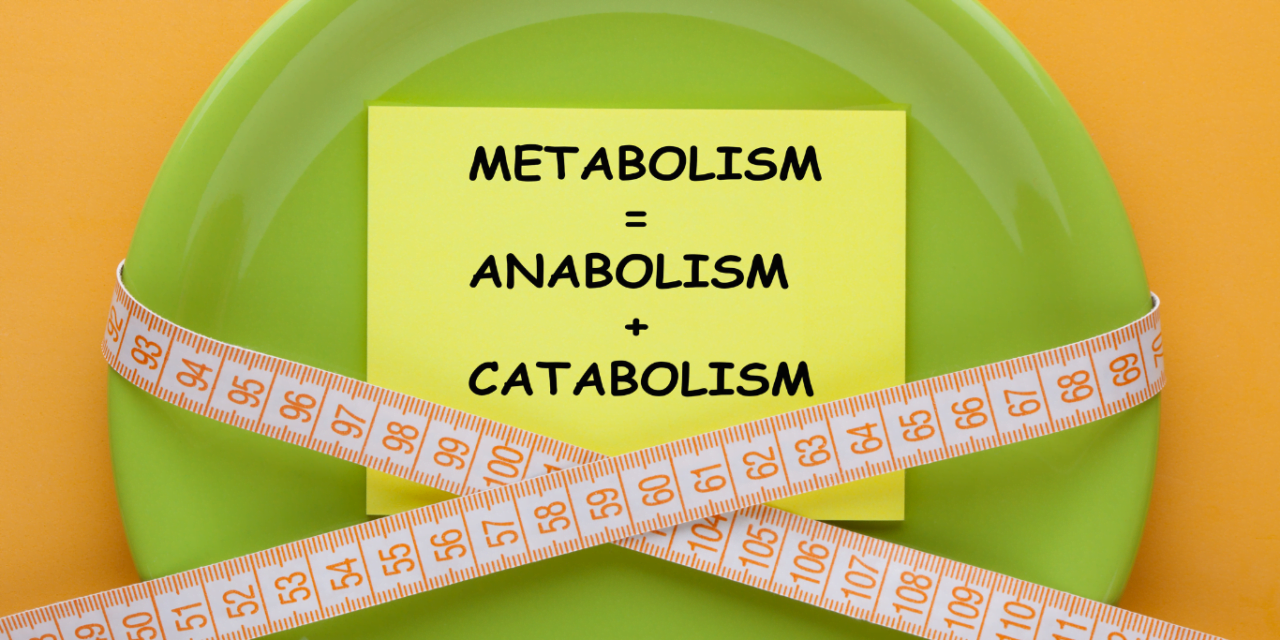 The influence of anabolic steroids on body fat distribution and metabolism