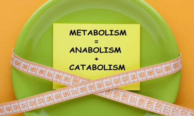 The influence of anabolic steroids on body fat distribution and metabolism