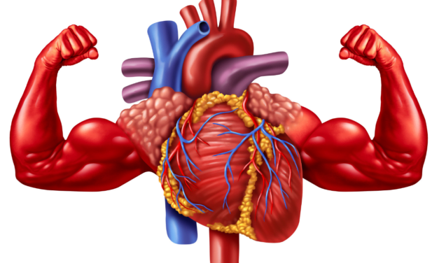 The Impact of Anabolic Steroids on Stress Resilience and Coping Mechanisms