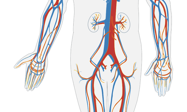 Healing the Heart: Anabolic Steroids in Dilated Cardiomyopathy Treatment