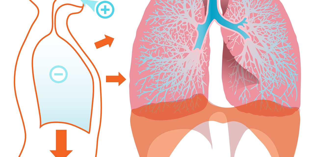 Lung Leap: Anabolic Steroids’ Effects on COPD Exacerbation Recovery