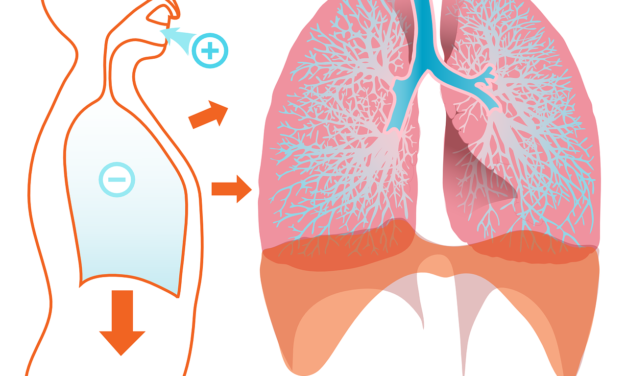 Lung Leap: Anabolic Steroids’ Effects on COPD Exacerbation Recovery