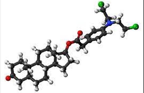 What is the main androgenic anabolic steroid?