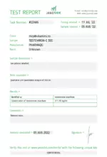 Testosterone-E 300 - Pharmaqo Labs - Image 9