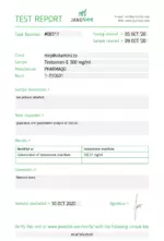 Testosterone-E 300 - Pharmaqo Labs - Image 6