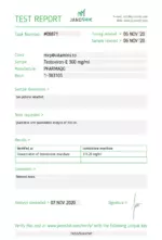 Testosterone-E 300 - Pharmaqo Labs - Image 7