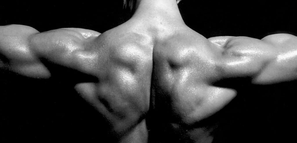 A Beginner Bodybuilder's Guide to Testosterone Esters 4 Athletic figure showing off muscles