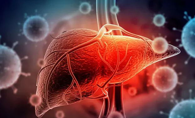 NAC Supplement in Bodybuilding: Liver protection