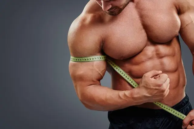 Men Muscle gain benefit from SARMS Usage