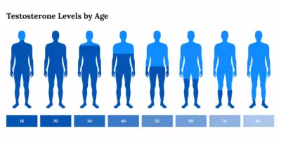 63bc65b9d72f6f2b8b6545cf Testosterone Levels by Age 01