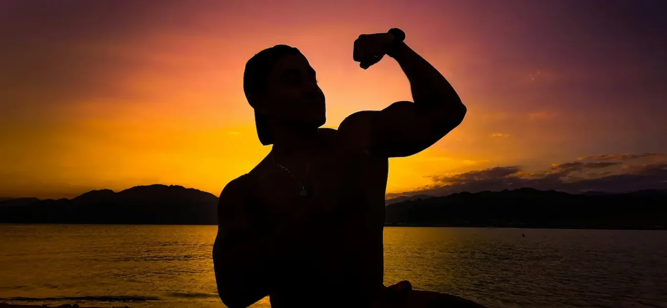 Muscle Gain Potential and Strength Progression